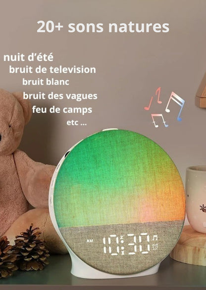 Simulateur d'aube - SX789