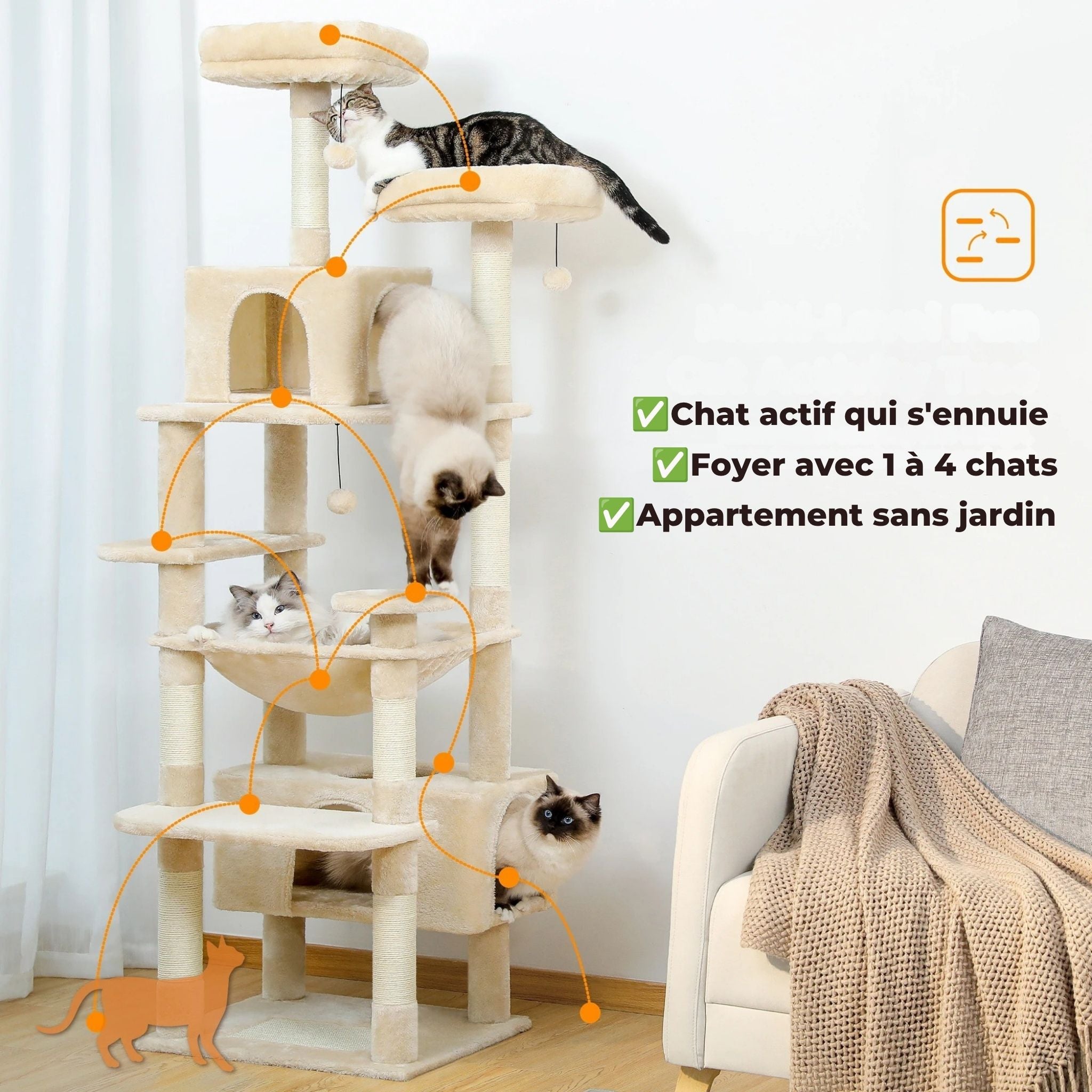 Zénith - Arbre à chat