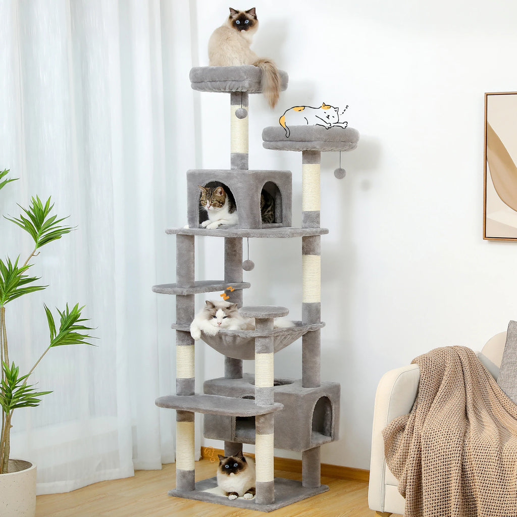 Zénith - Arbre à chat