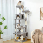 Zénith - Arbre à chat