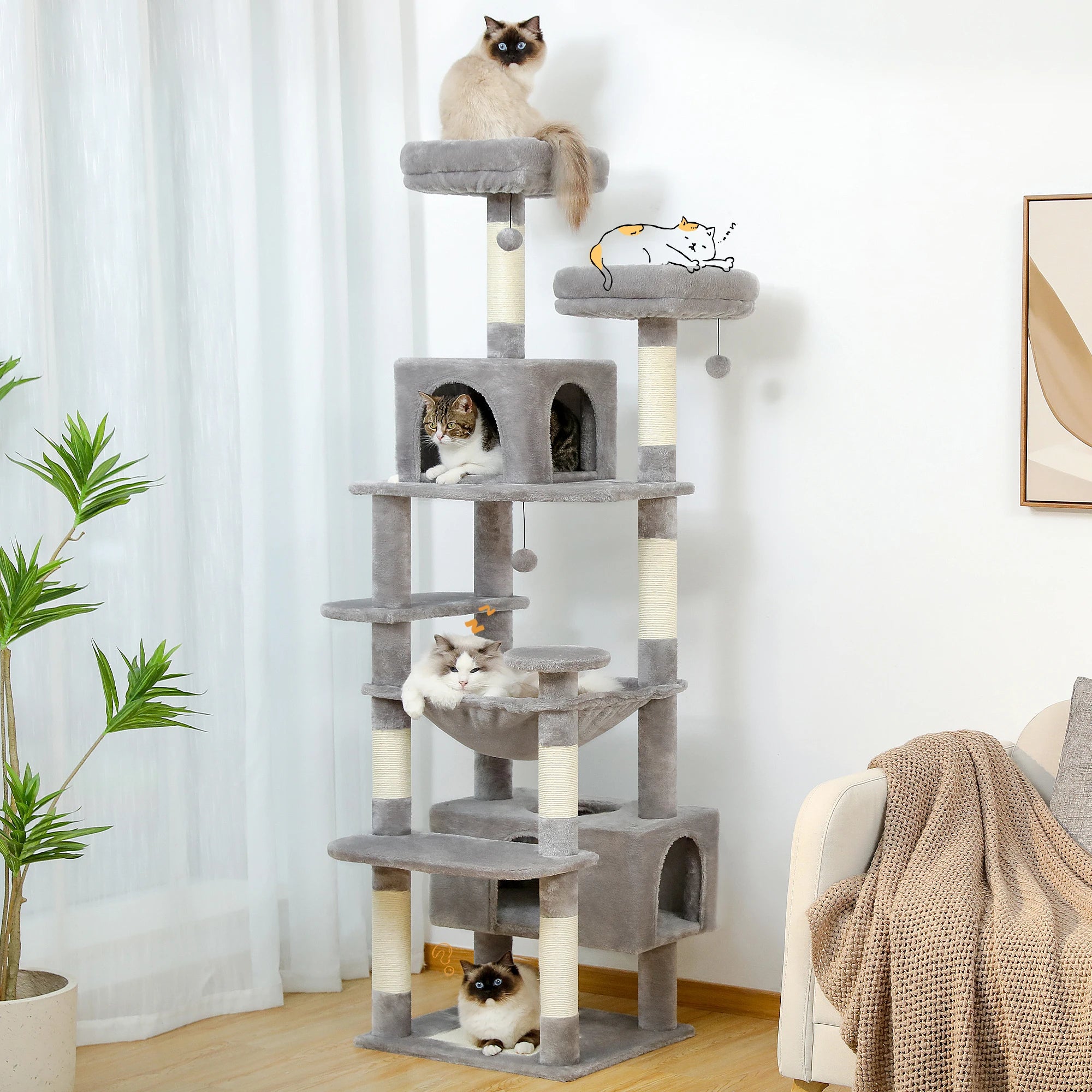 Zénith - Arbre à chat
