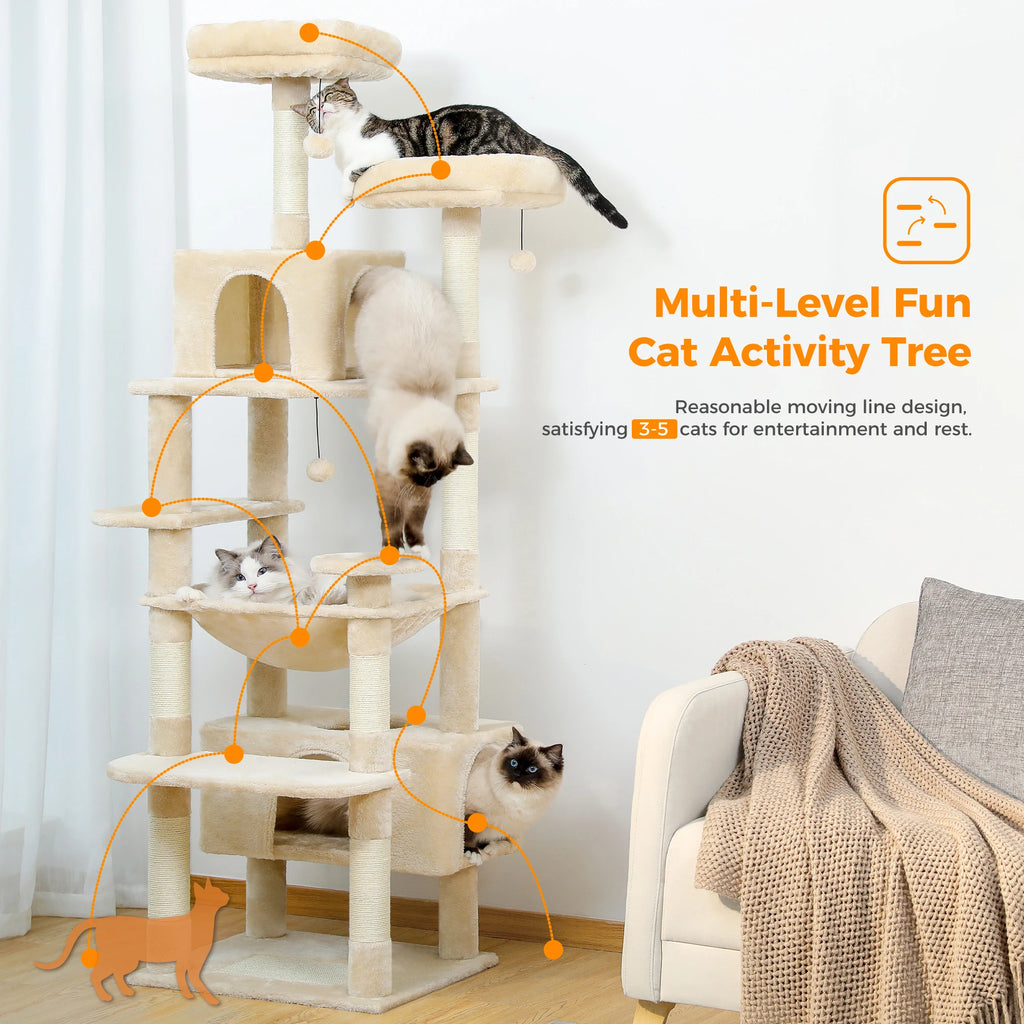 Zénith - Arbre à chat
