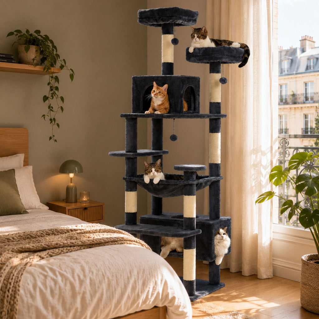 Zénith - Arbre à chat