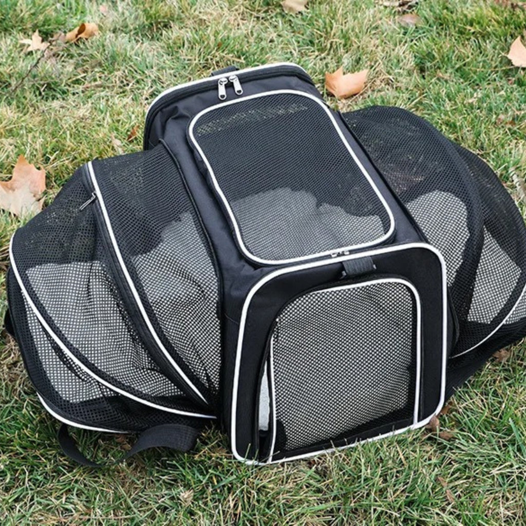 CabinPaw – Sac de Transport Chat Cabine Avion | Souple & Extensible