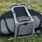 CabinPaw – Sac de Transport Chat Cabine Avion | Souple & Extensible