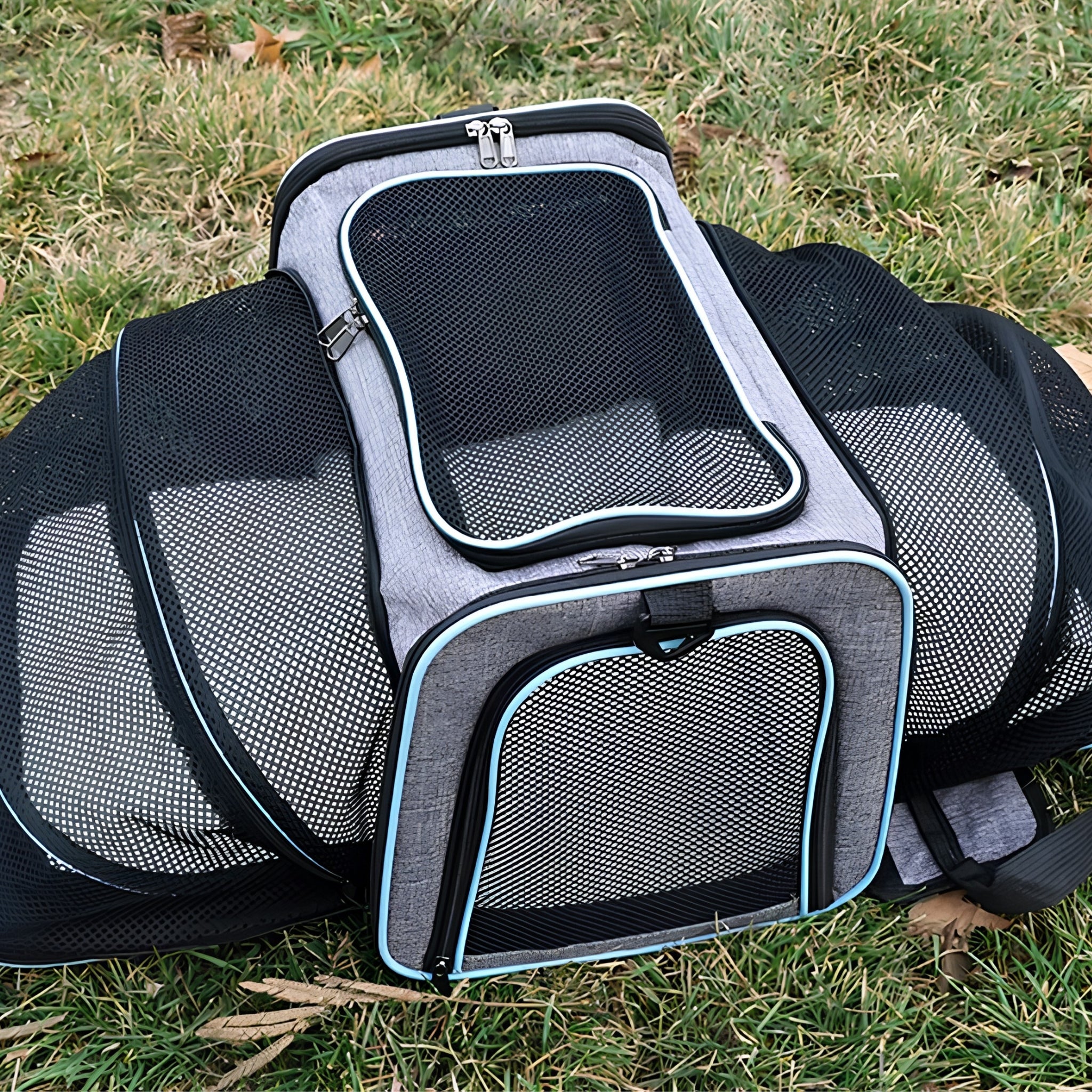 CabinPaw – Sac de Transport Chat Cabine Avion | Souple & Extensible
