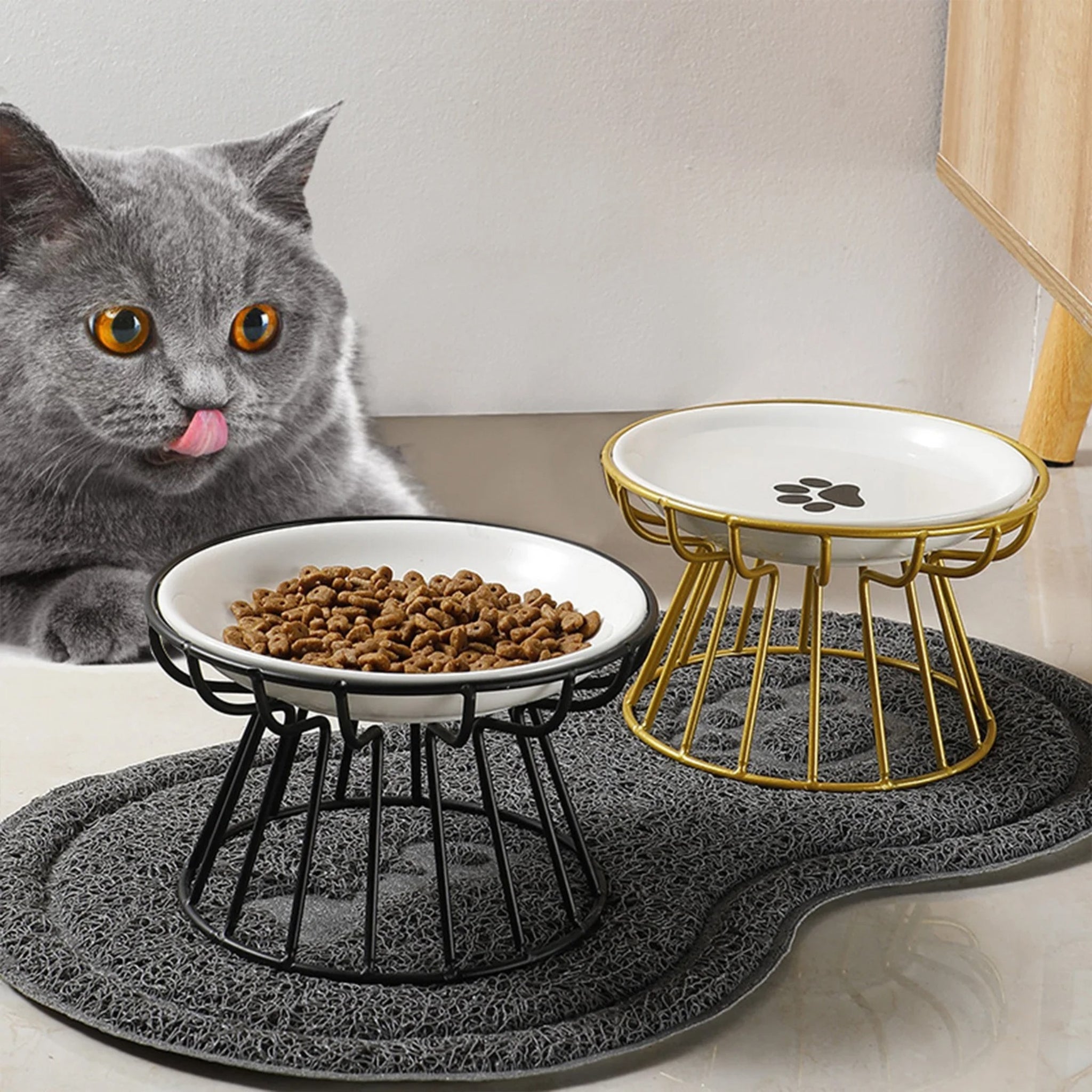 ElevCat — Gamelle Surélevée Chat en Céramique
