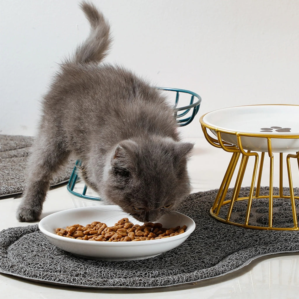 ElevCat — Gamelle Surélevée Chat en Céramique