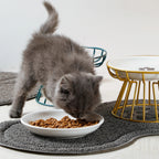 ElevCat — Gamelle Surélevée Chat en Céramique
