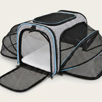 CabinPaw – Sac de Transport Chat Cabine Avion | Souple & Extensible