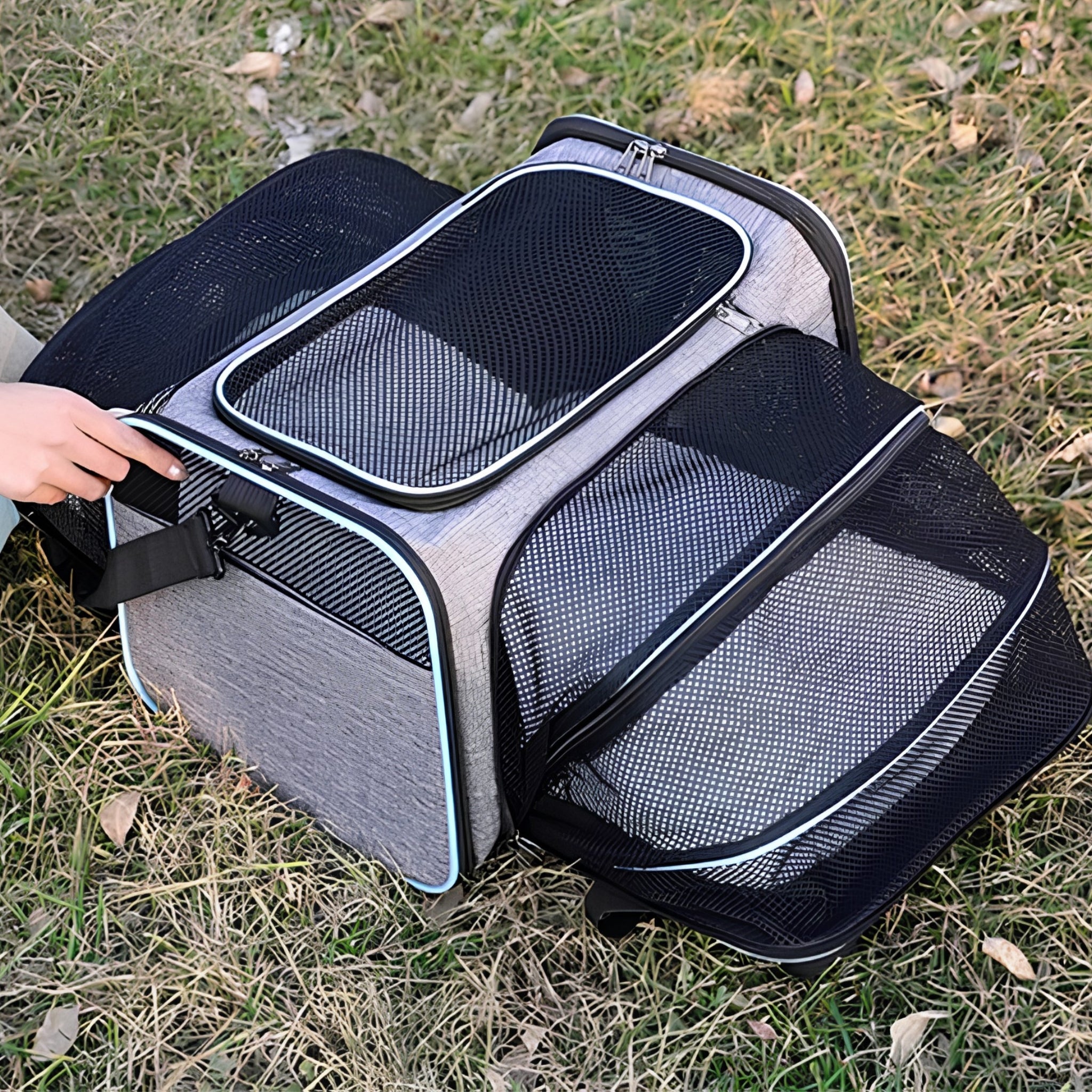 CabinPaw – Sac de Transport Chat Cabine Avion | Souple & Extensible