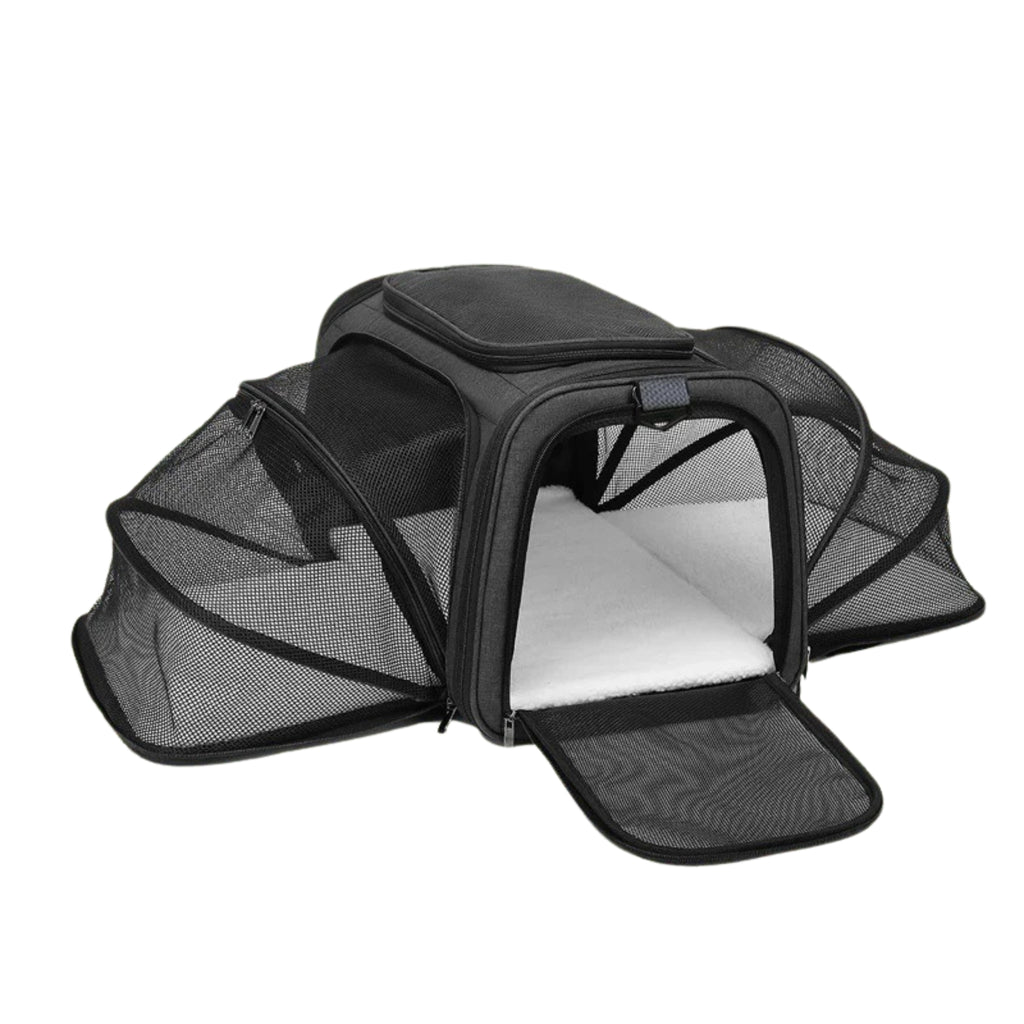 CabinPaw – Sac de Transport Chat Cabine Avion | Souple & Extensible