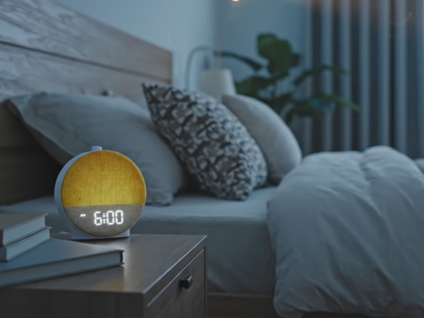 Charger la vidéo : 