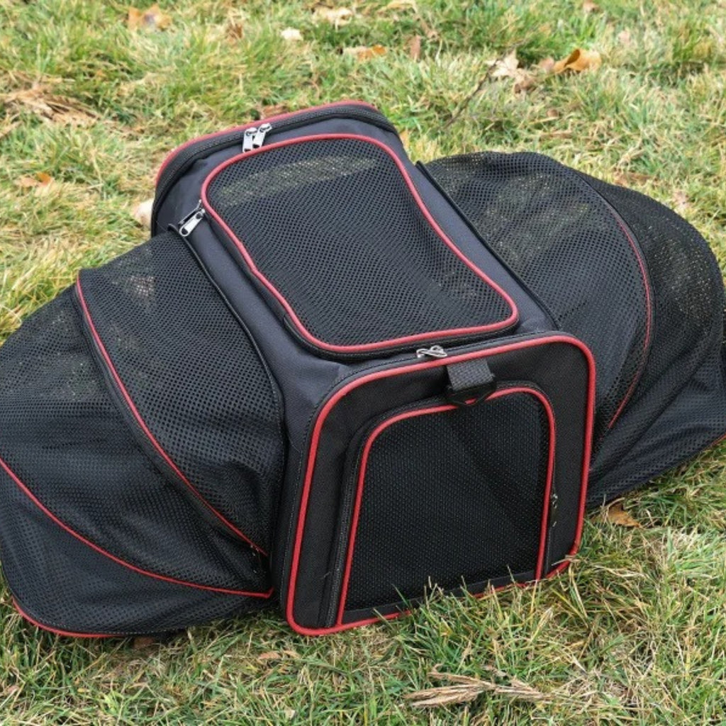 CabinPaw – Sac de Transport Chat Cabine Avion | Souple & Extensible