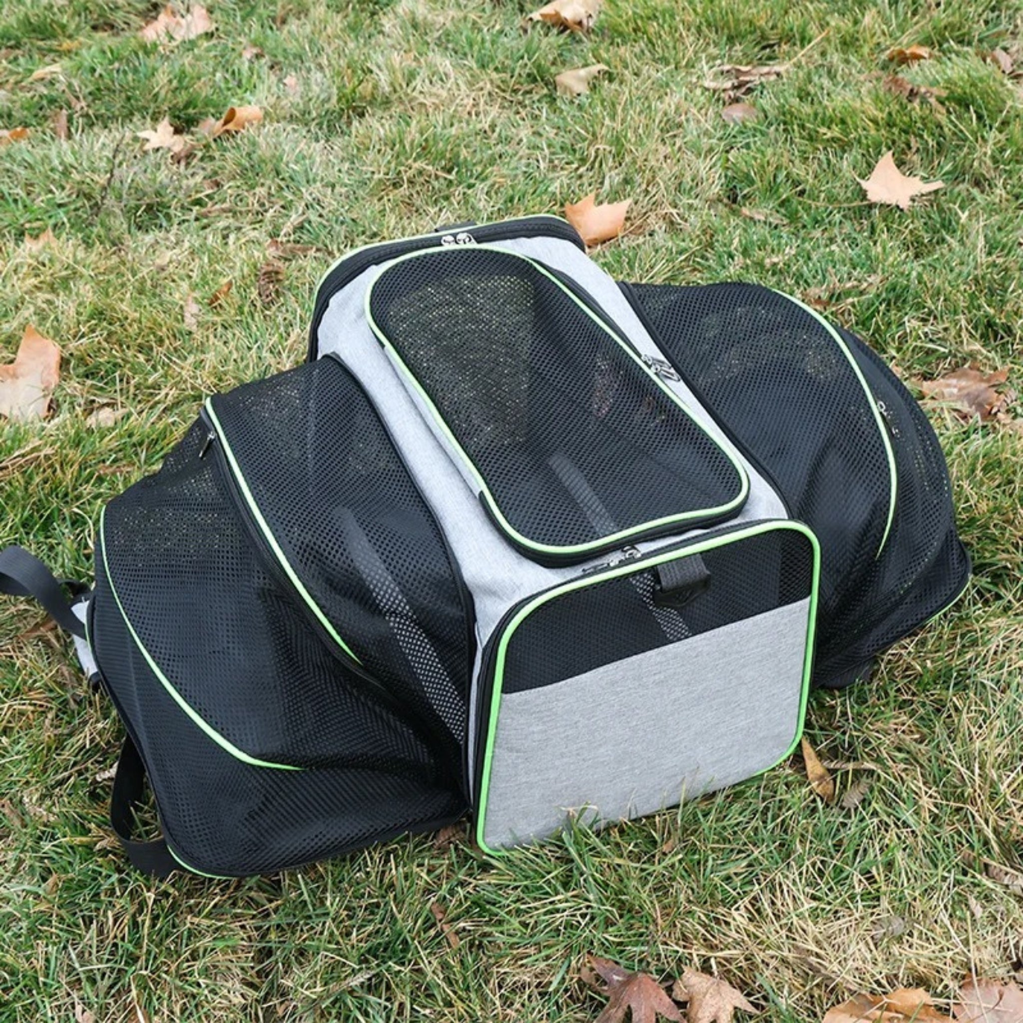 CabinPaw – Sac de Transport Chat Cabine Avion | Souple & Extensible